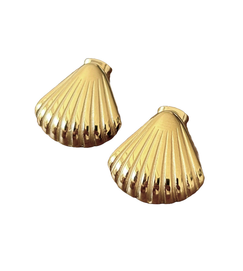 Boucles Shell